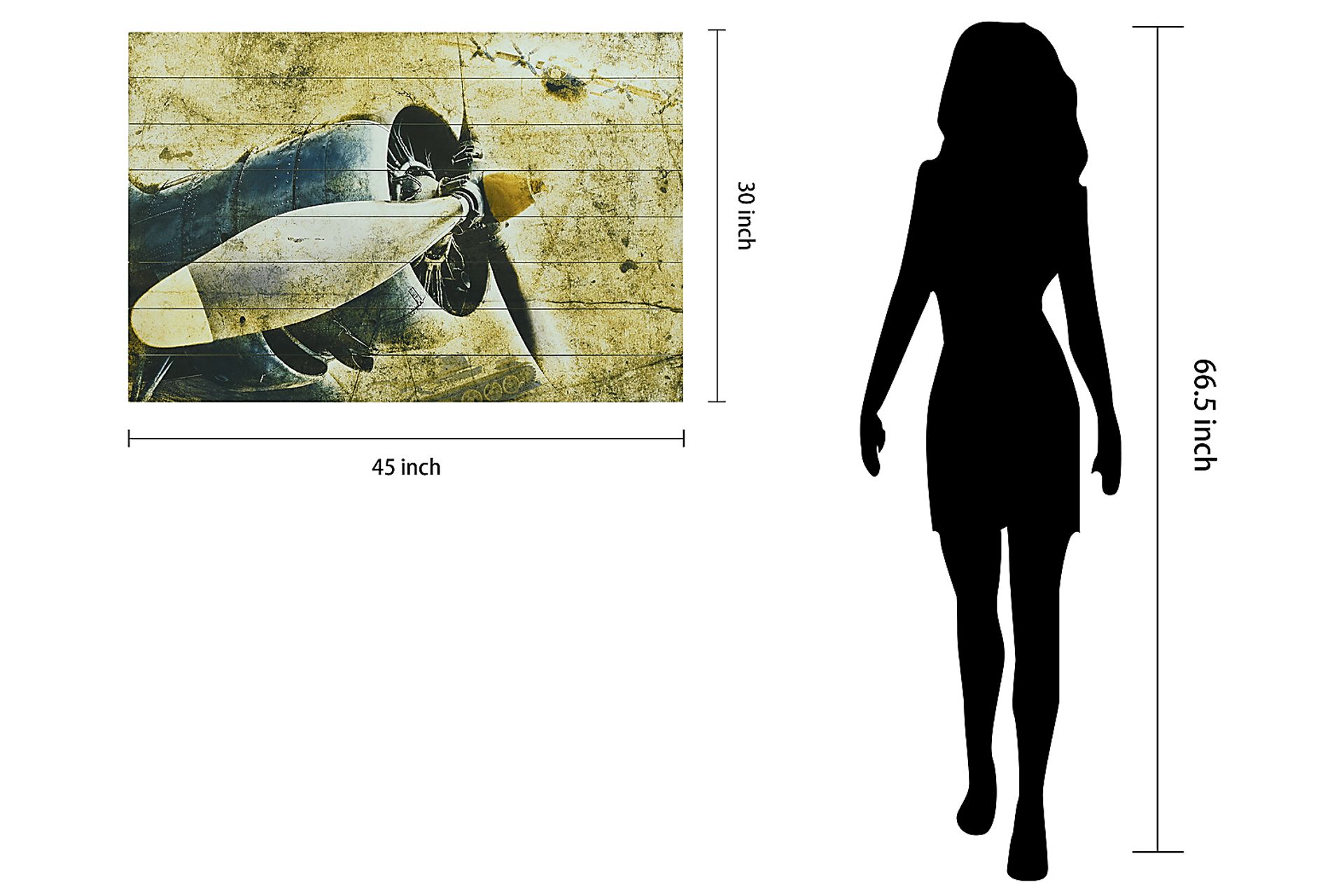 Alizeh Plane Artwork - Image 6