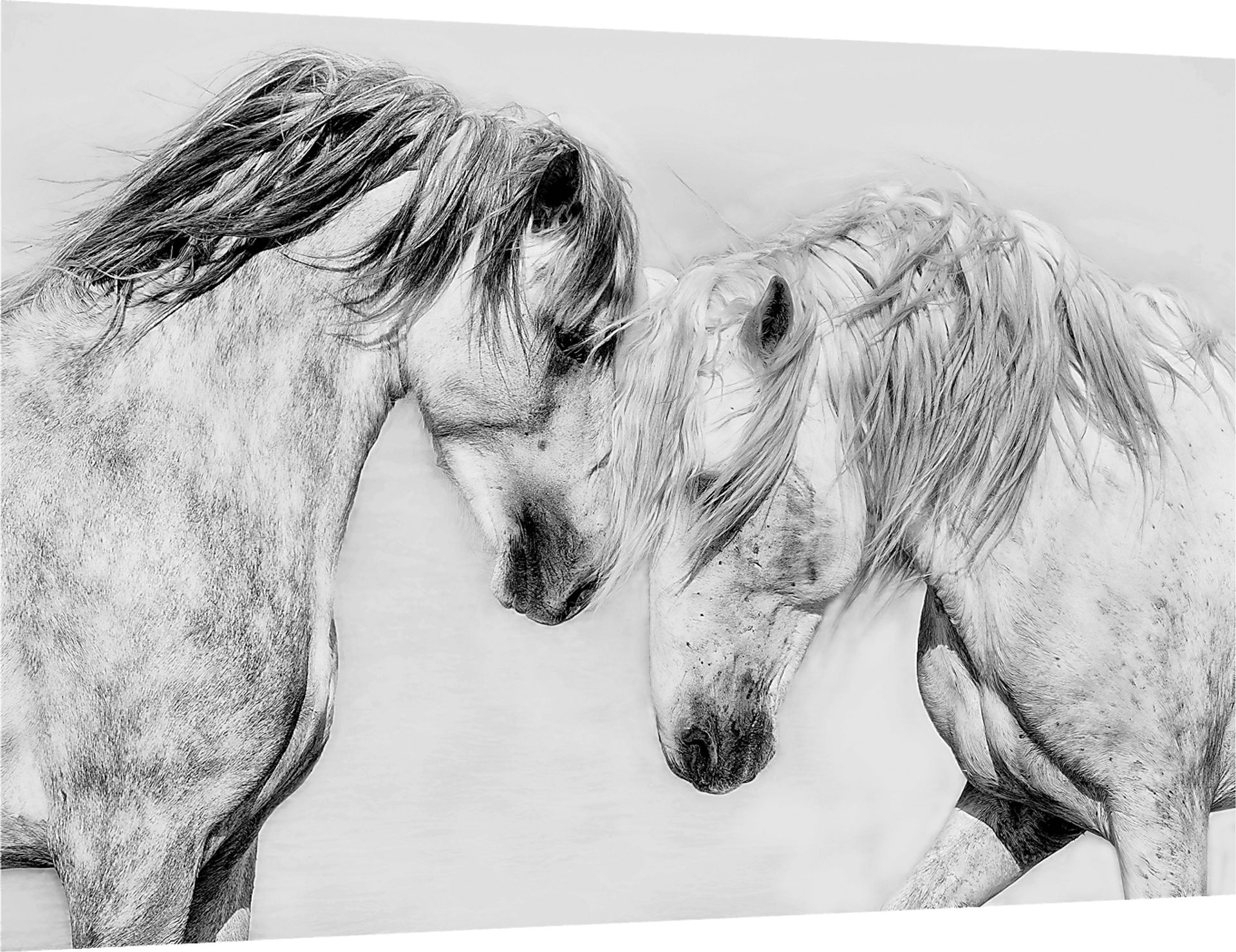 Altamount Multi Artwork - Image 8