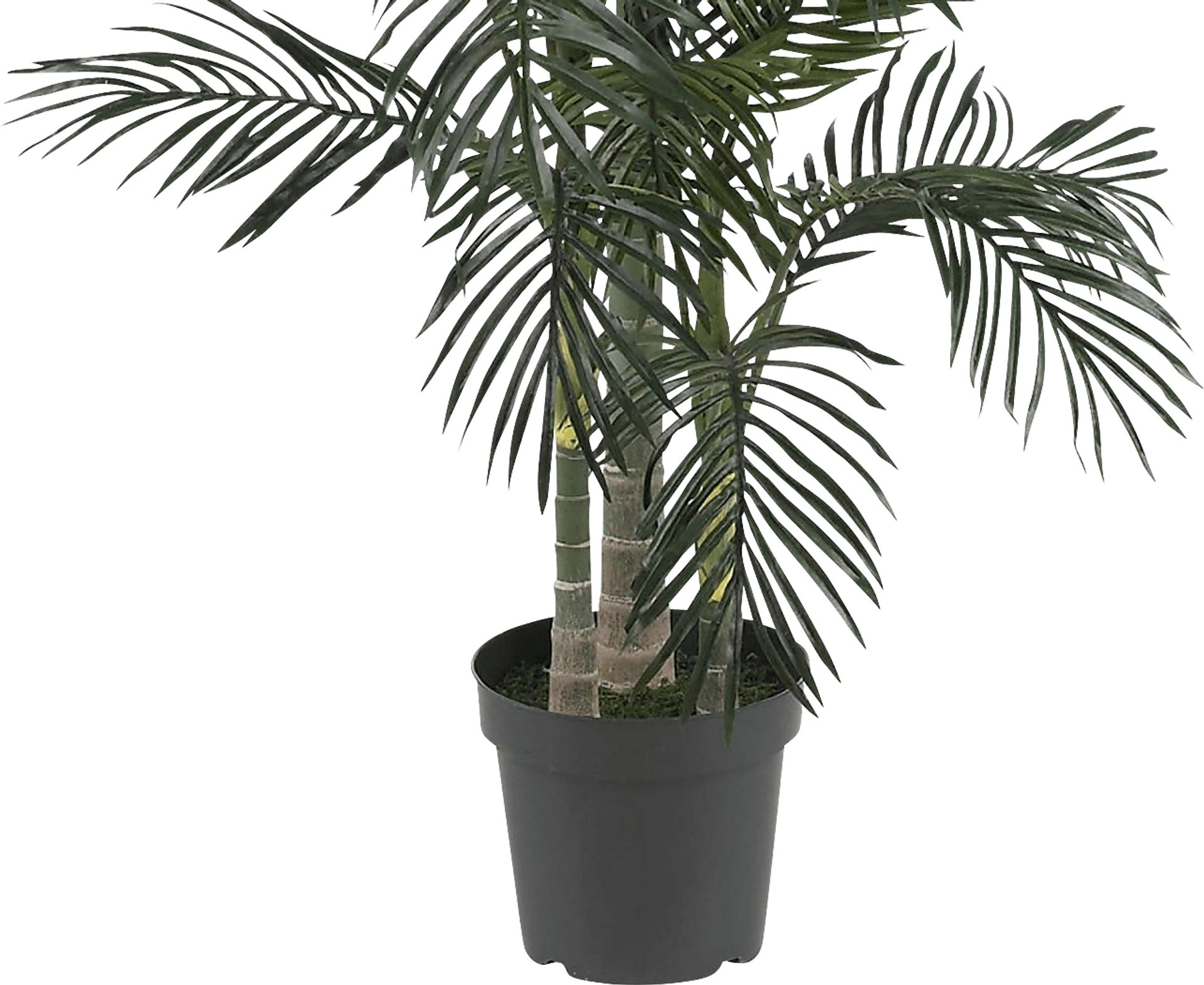 Alyjah Green Palm Silk Tree - Image 2
