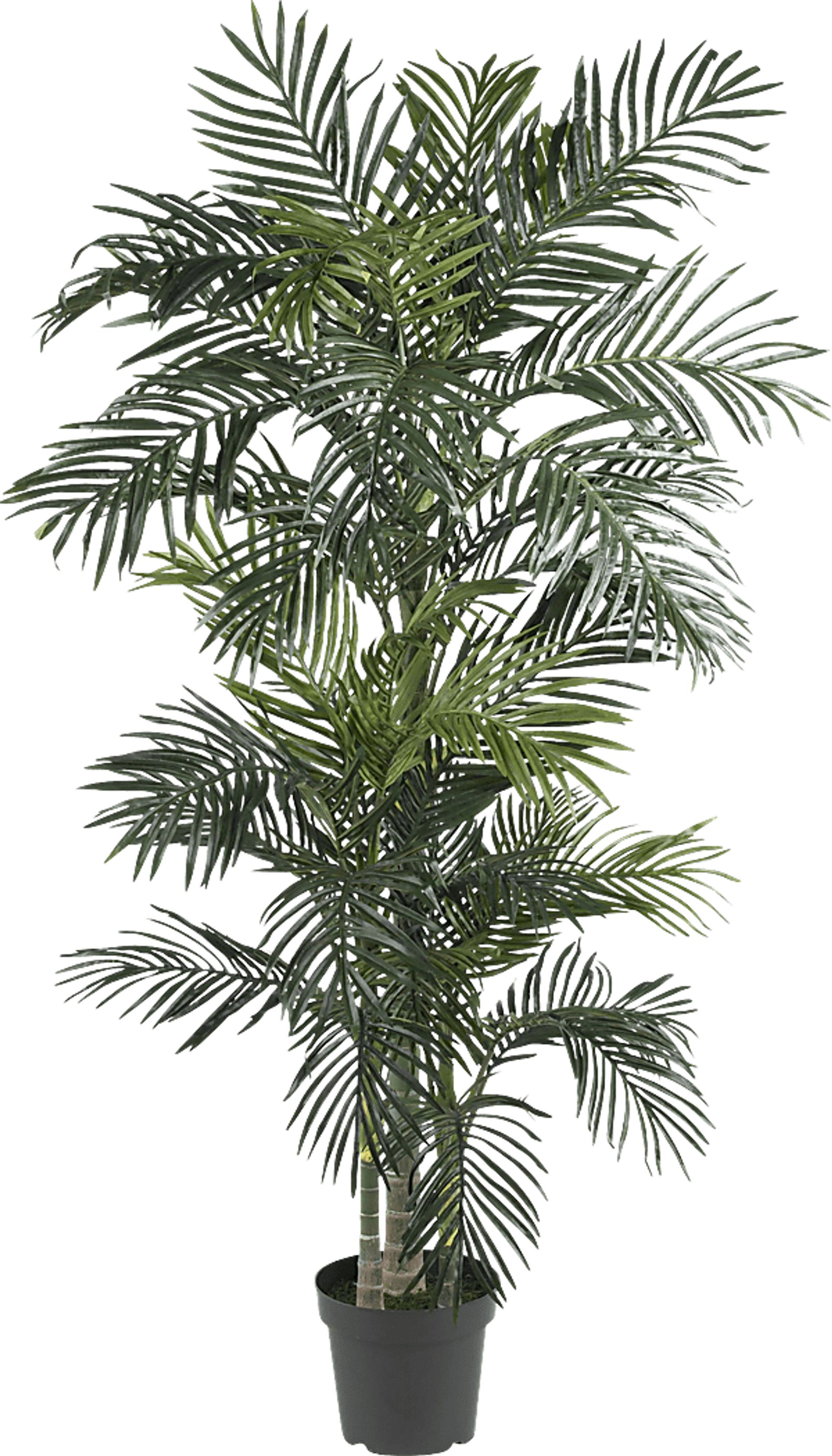 Alyjah Green Palm Silk Tree - Image 1