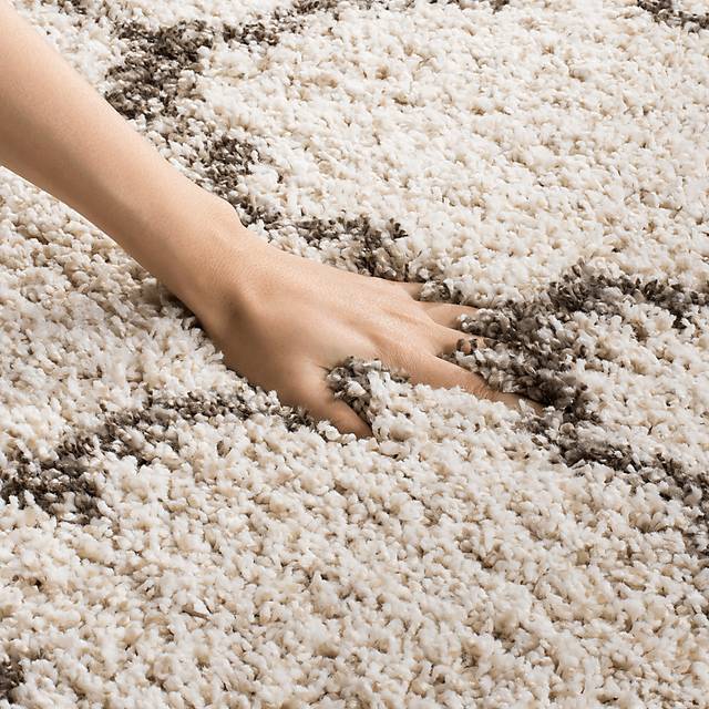 Amalia Ivory 6' x 9' Rug - Thumbnail - Image 2