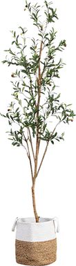 Amersham Green Artificial Olive Tree