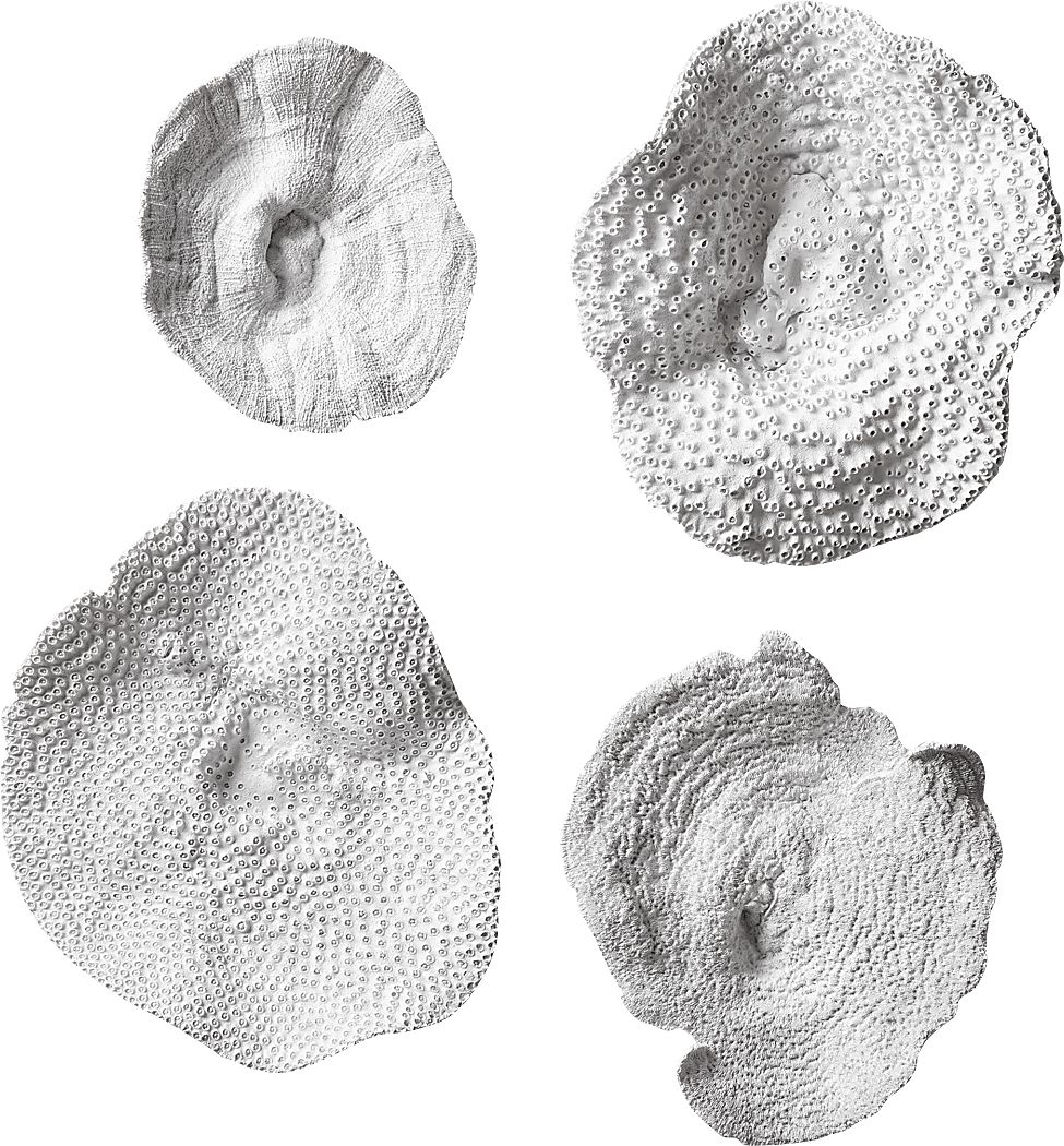 Amirah White Wall Decor, Set of 4