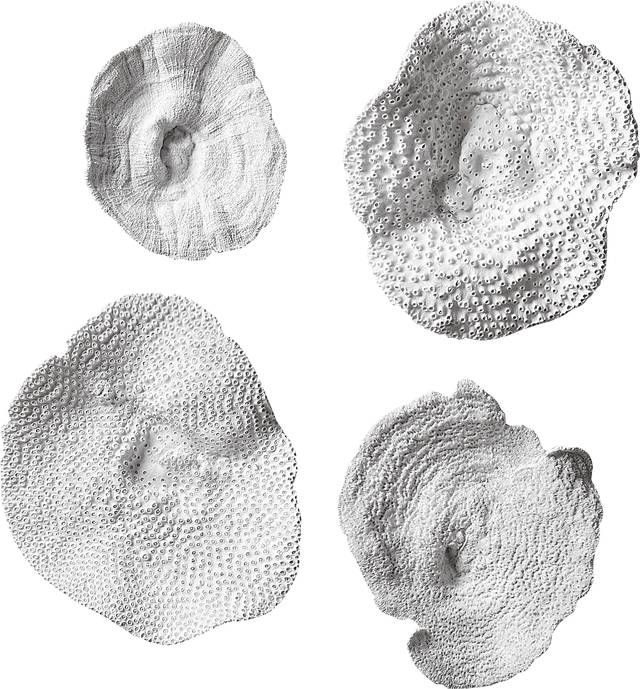 Amirah White Wall Decor, Set of 4 - Thumbnail - Image 1