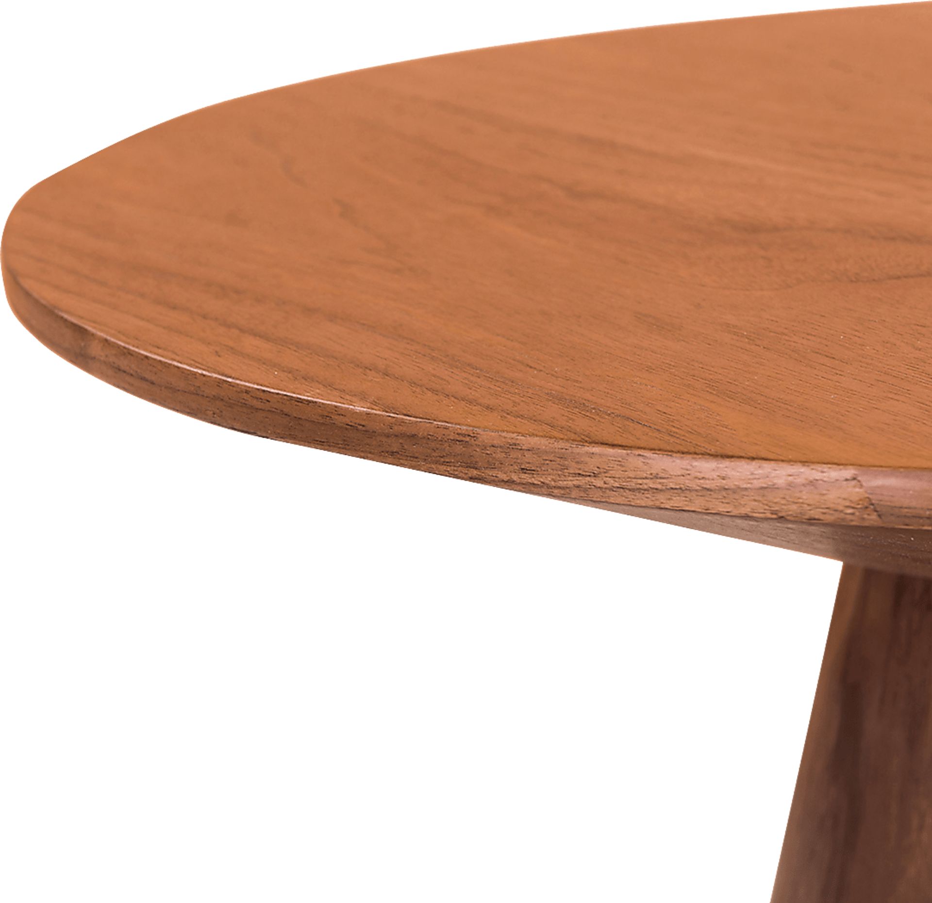 Amnicon Walnut End Table - Image 4