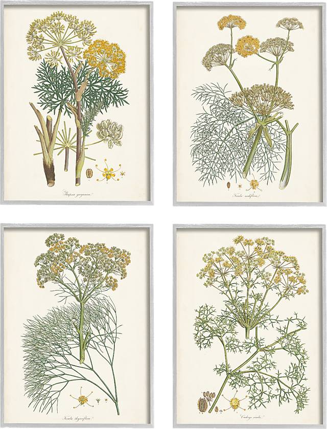 An Assortment of Herbs Set of 4 Artwork - Thumbnail - Image 1