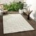 Anitalee Gray 5' x 7' Rug