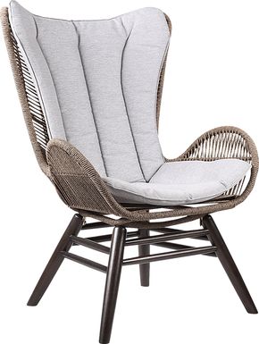 Anlynn Gray Outdoor Lounge Chair
