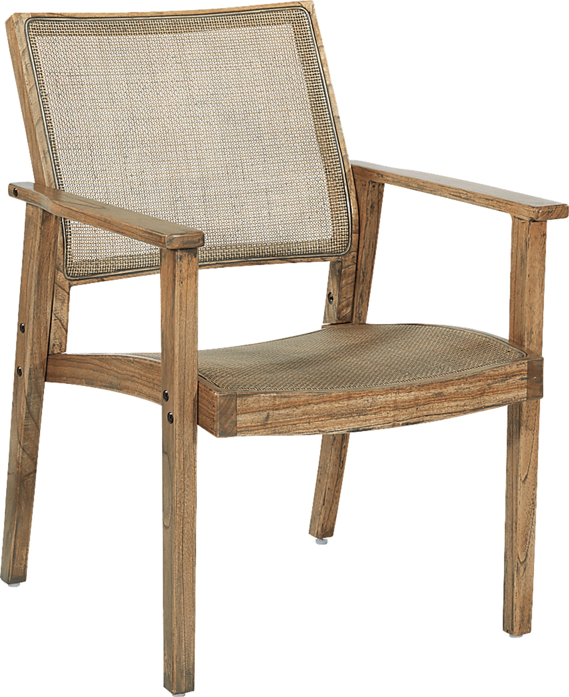 Antania Brown Accent Chair - Image 1