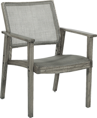 Antania Gray Accent Chair