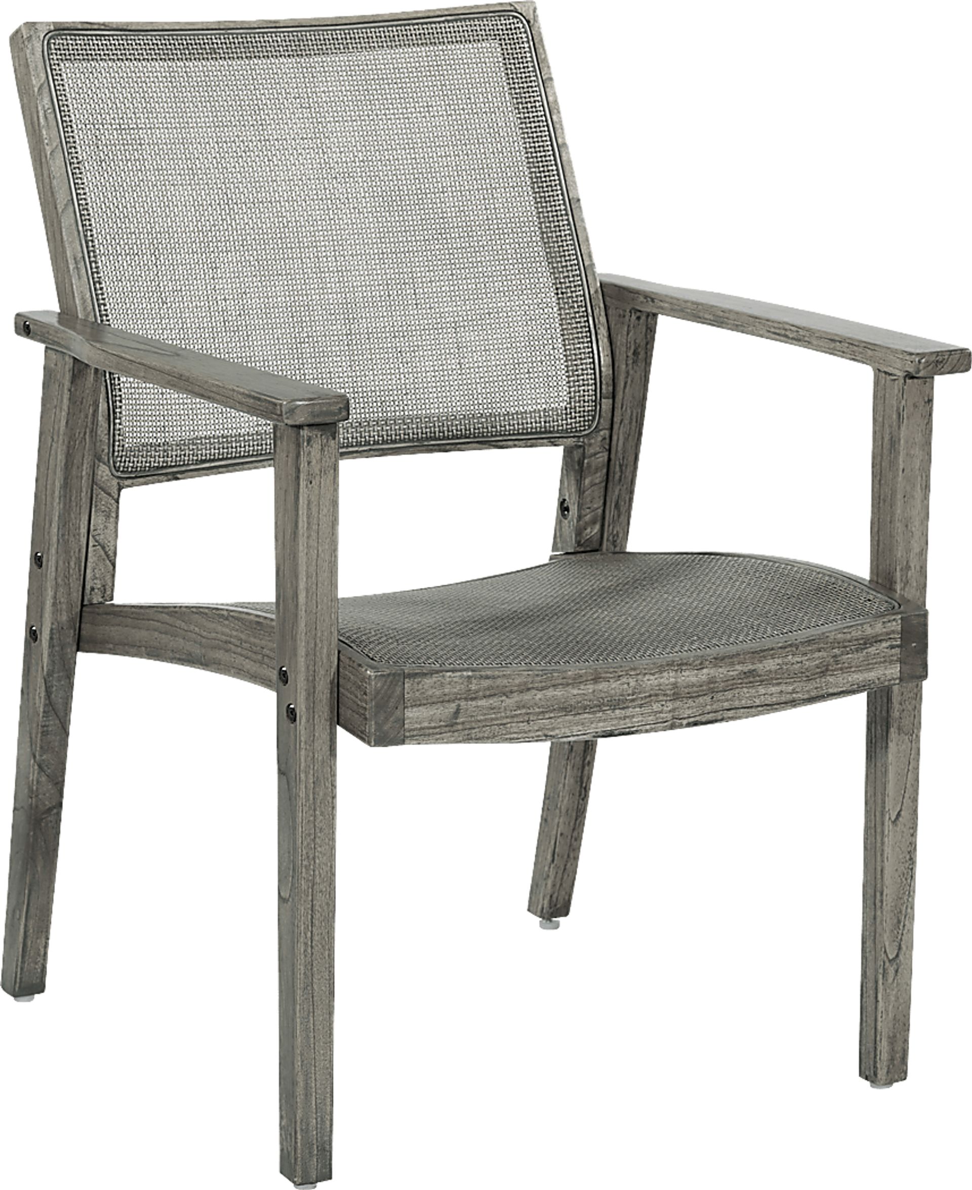 Antania Gray Accent Chair - Image 1