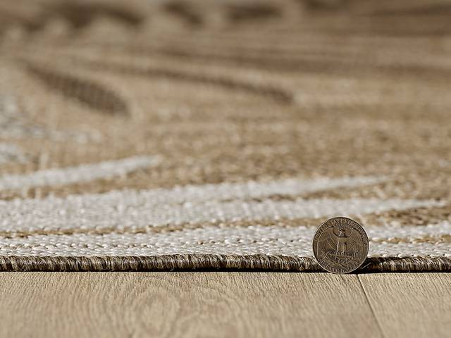 Antawa Natural/Brown 5'3 x 7'7 Indoor/Outdoor Rug - Thumbnail - Image 3