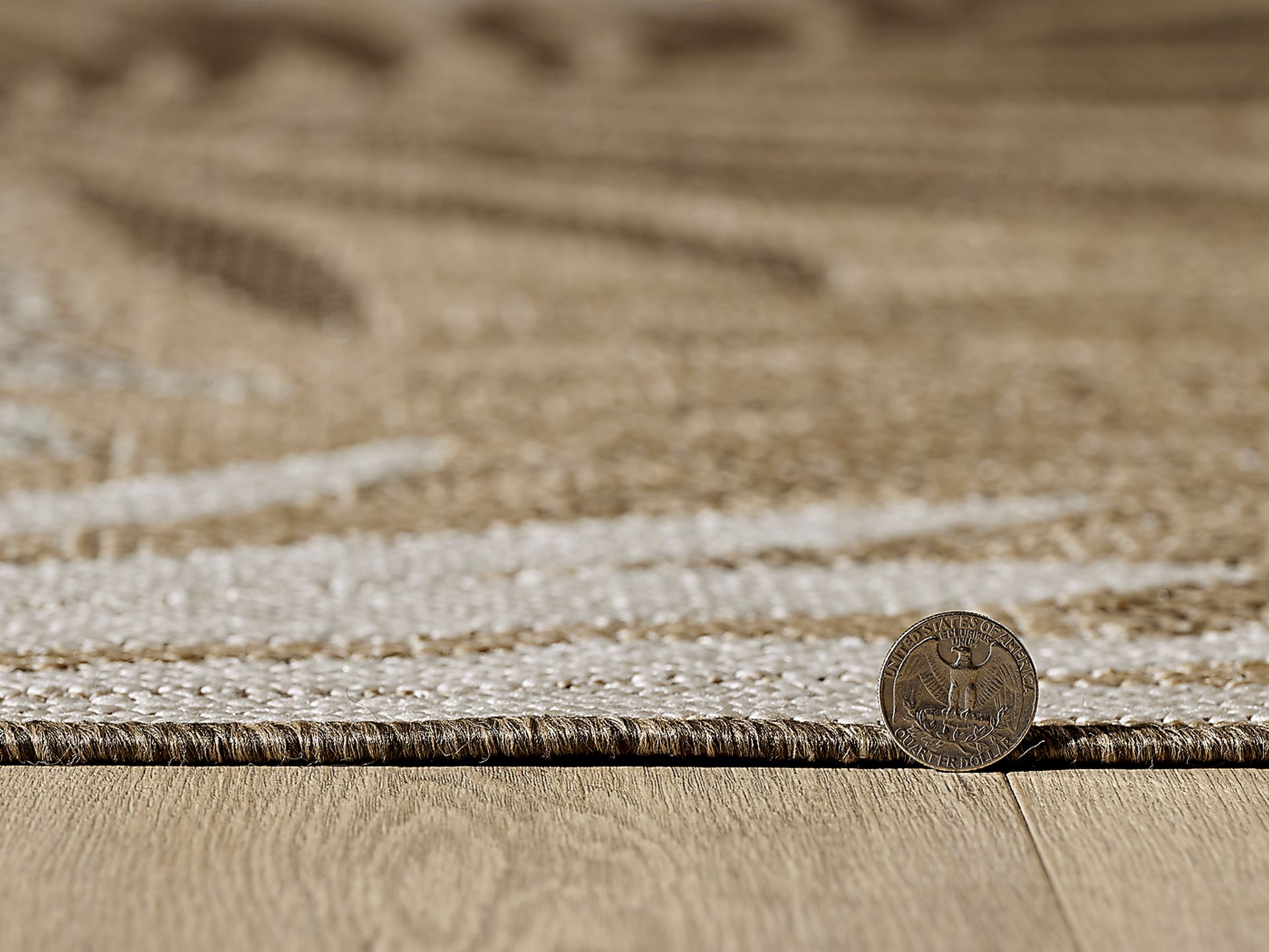 Antawa Natural/Brown 7'10 x 10'10 Indoor/Outdoor Rug - Image 3