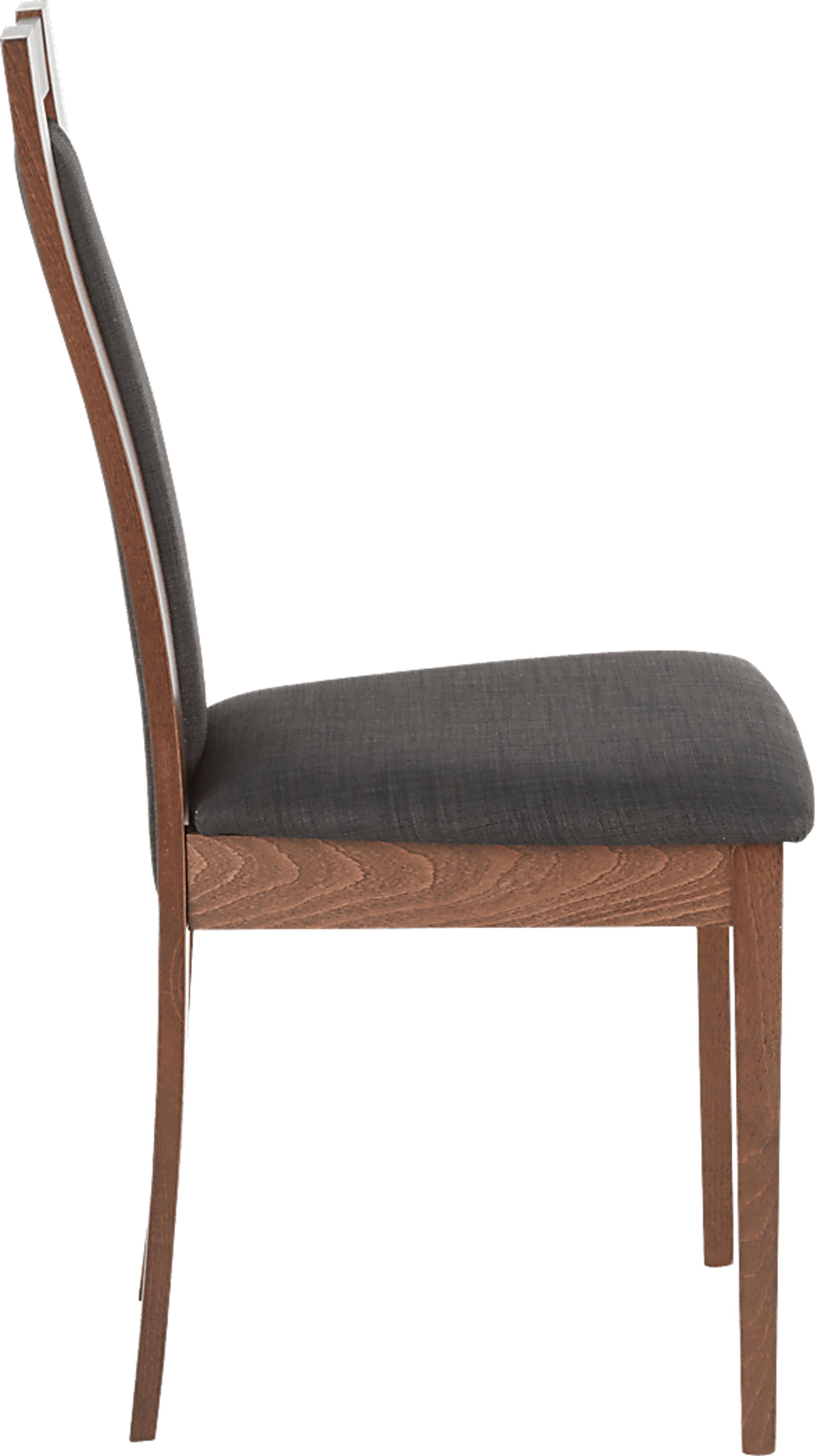 Anthus Charcoal Side Chair, Set of 2 - Image 3