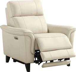 dual power recliner