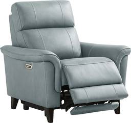 dual power recliner
