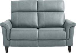 stationary loveseat