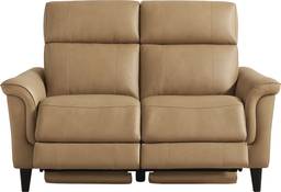 dual power reclining loveseat