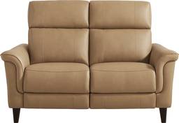 stationary loveseat