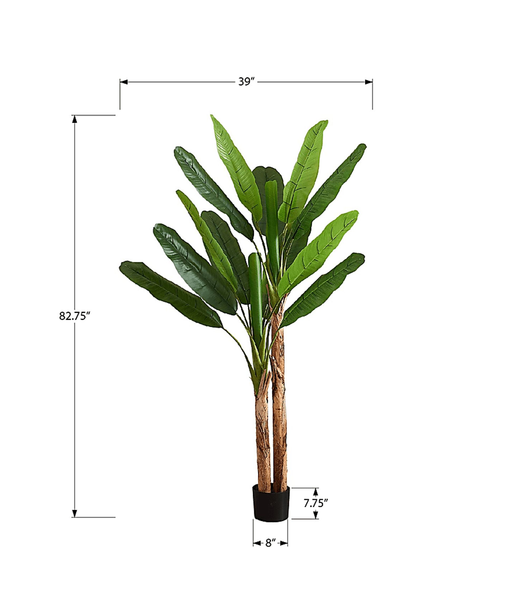 Anya Green Silk Plant - Image 3