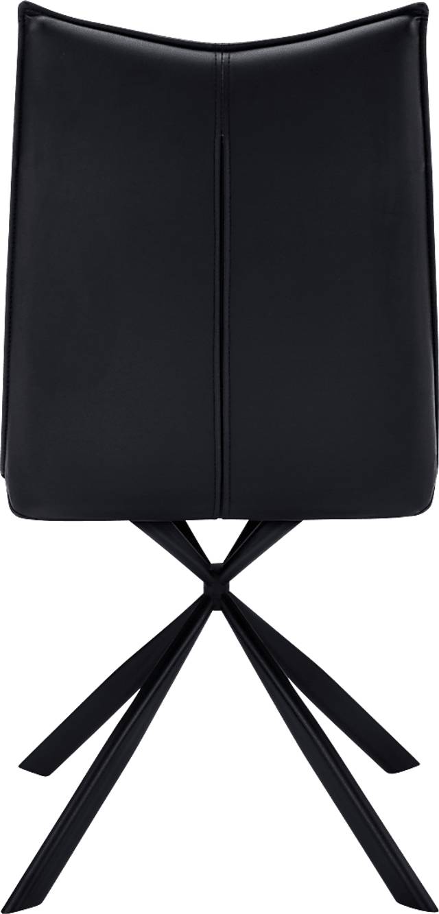 Appaloosa Black Side Chair, Set of 2 - Thumbnail - Image 9