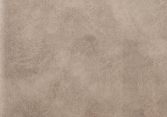 Appaloosa Taupe Side Chair, Set of 2 - Thumbnail - Image 5