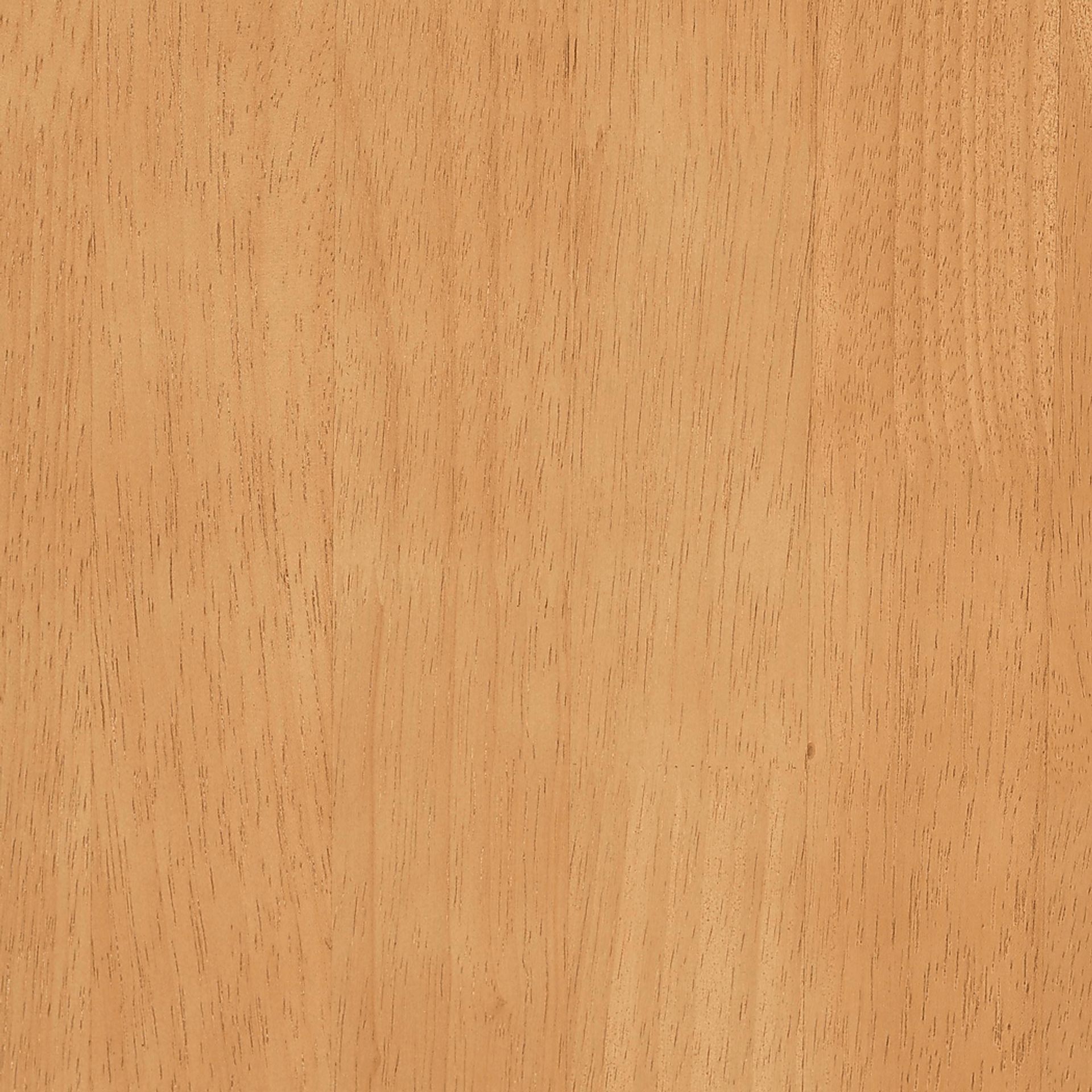 Appiation Brown Chest - Image 6