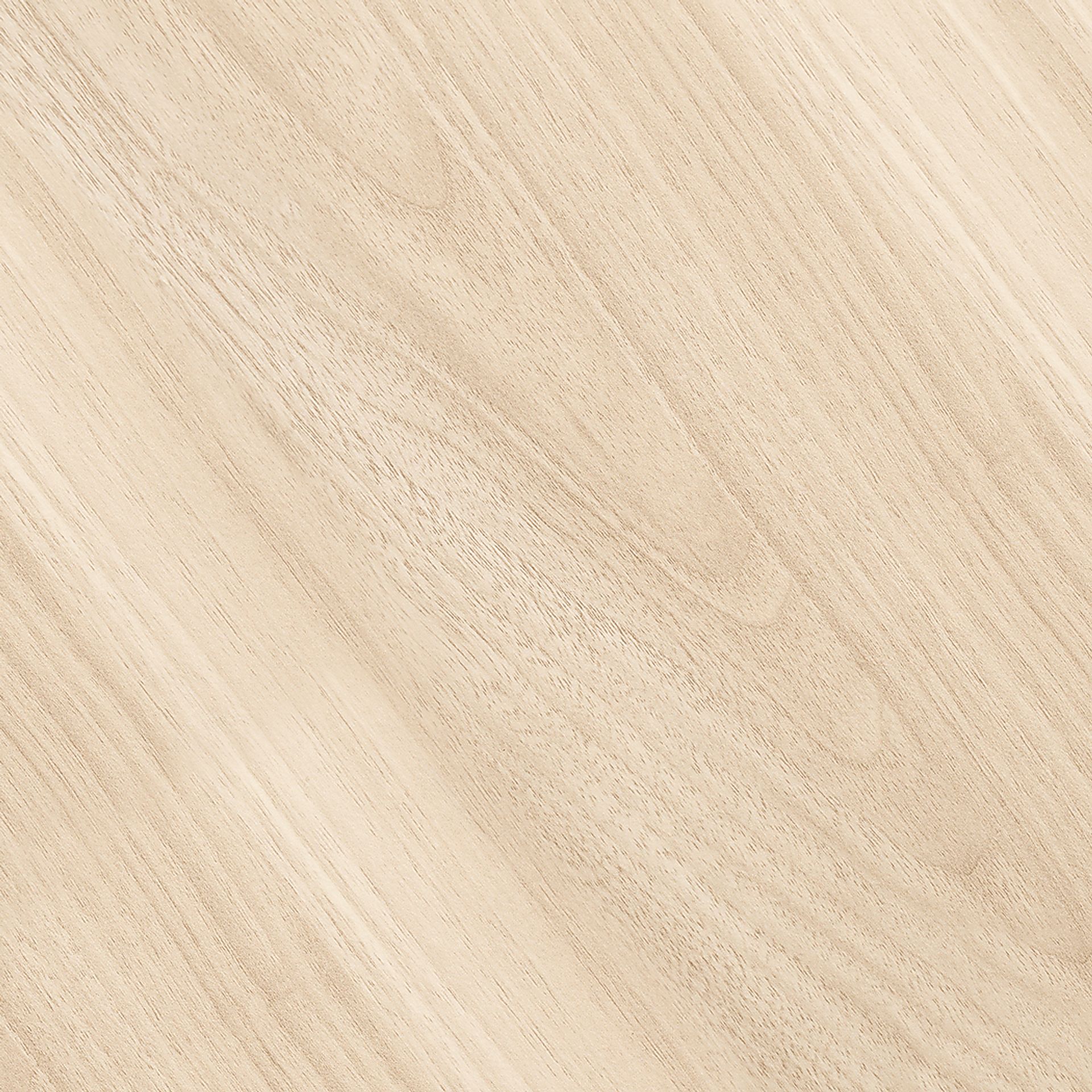 Arboles Birch Bookcase - Image 8