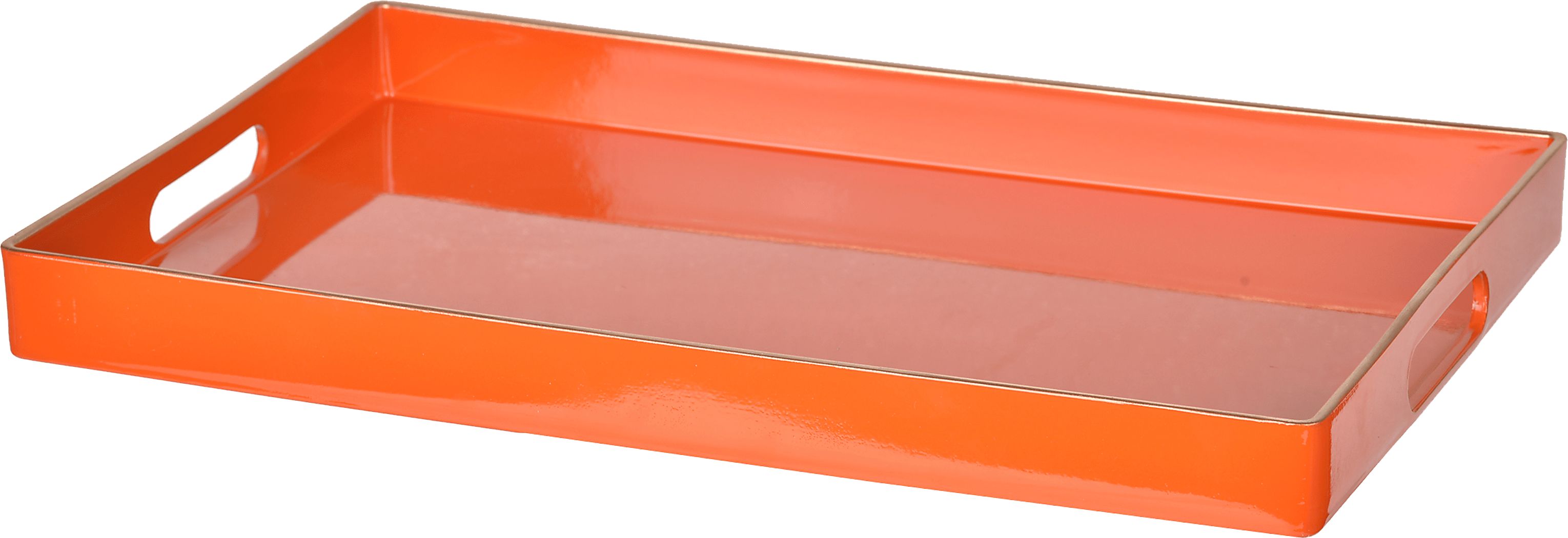 Arborn Orange Tray