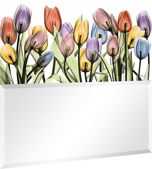 Ariah Multi Mirror - Thumbnail - Image 2
