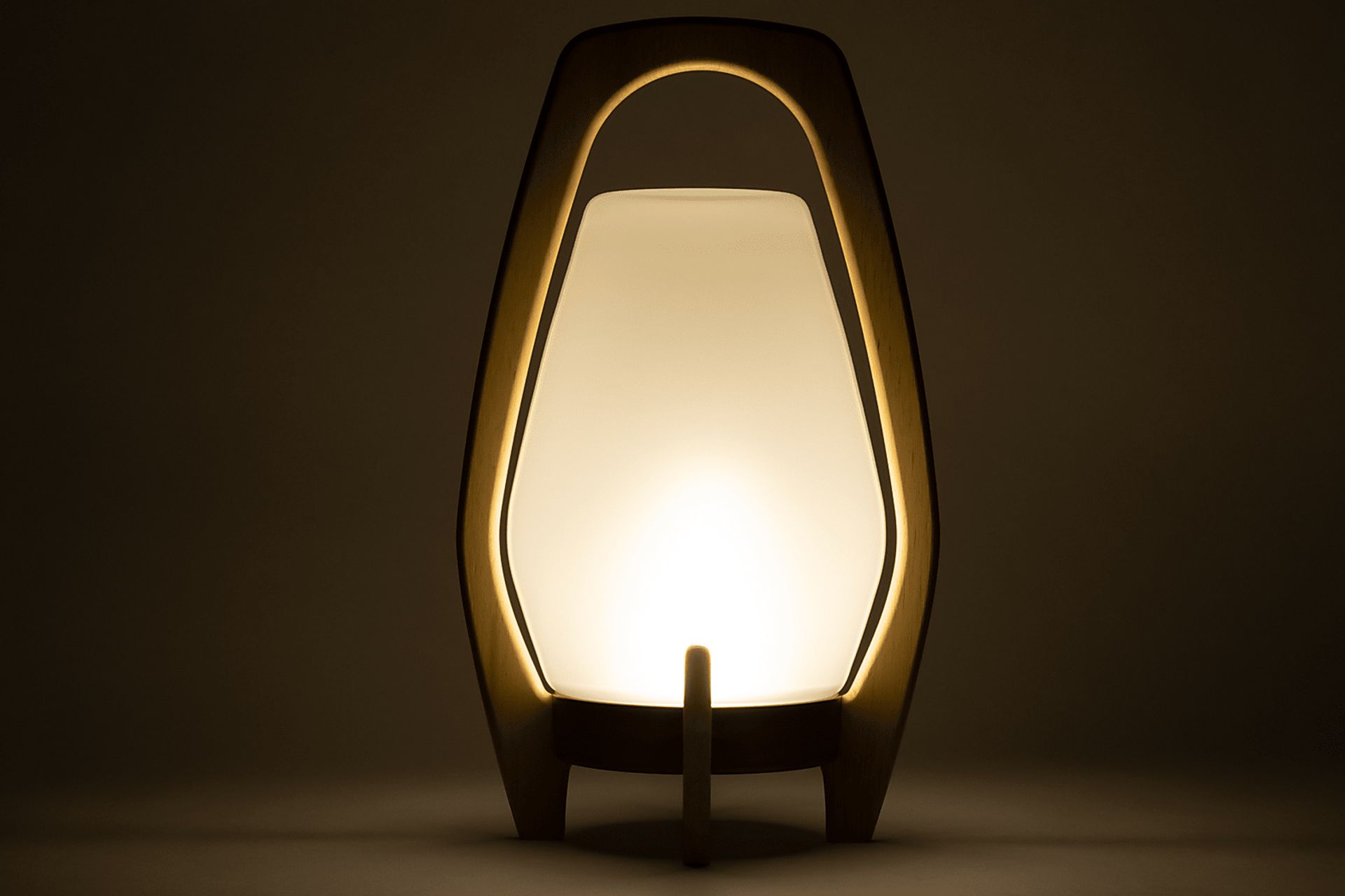 Arilis Farm Indoor/Outdoor White Lantern - Image 13
