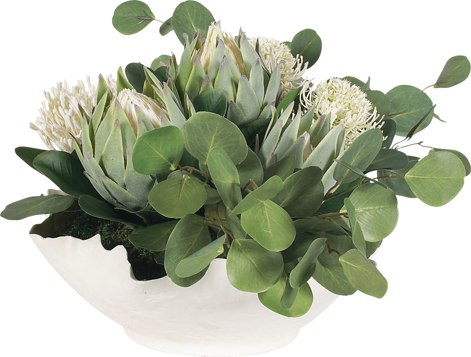 Arima White Silk Plant - Image 5