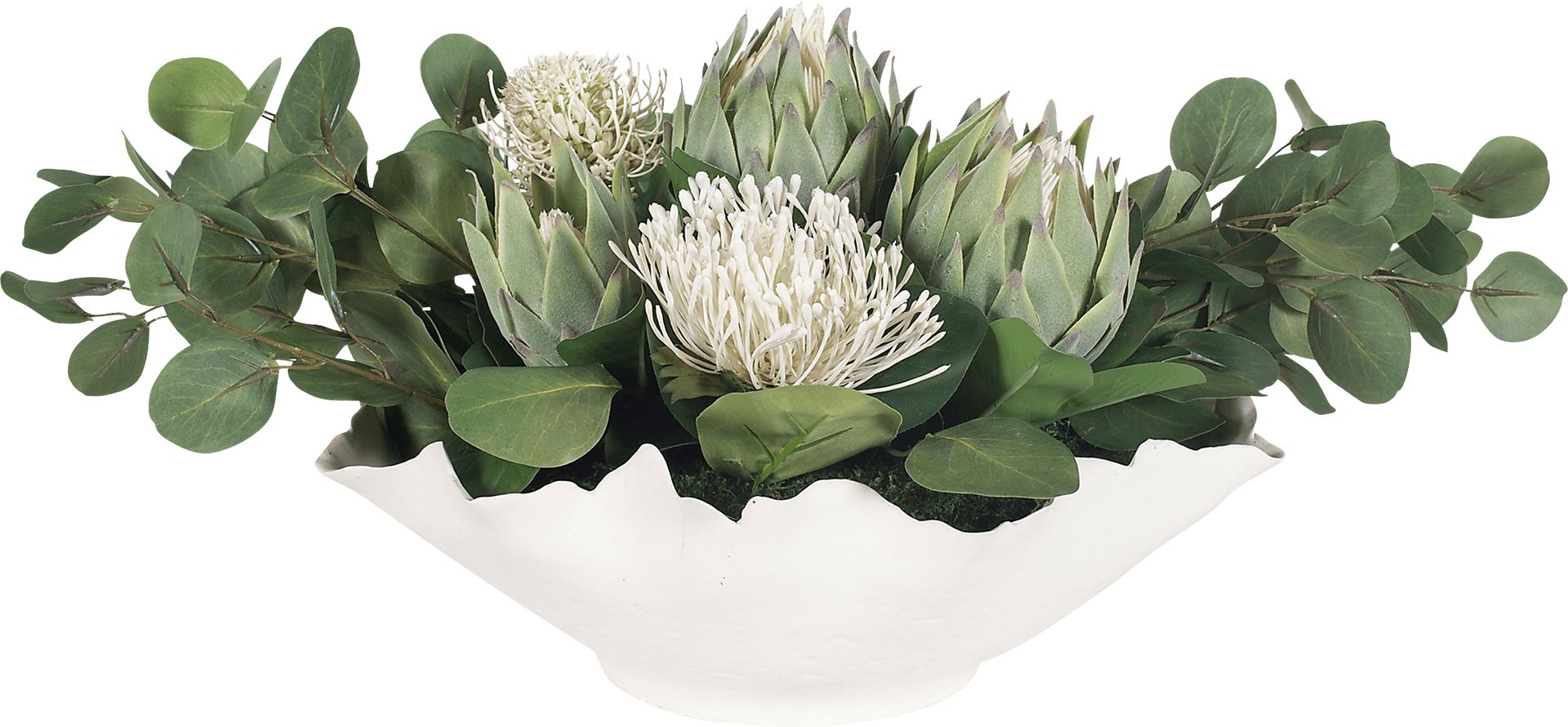 Arima White Silk Plant - Image 6