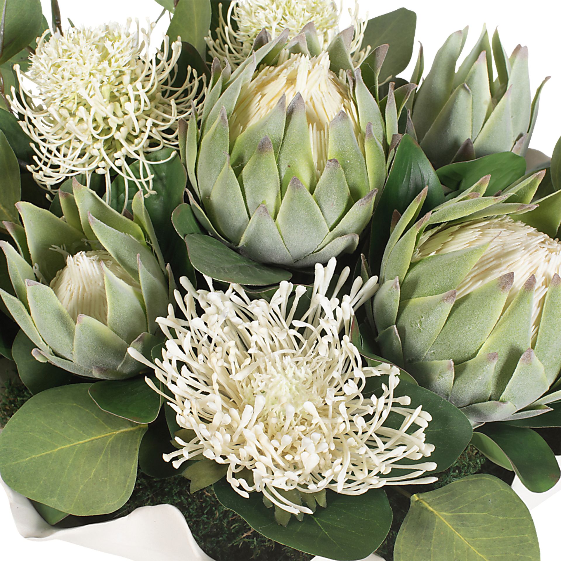 Arima White Silk Plant - Image 8