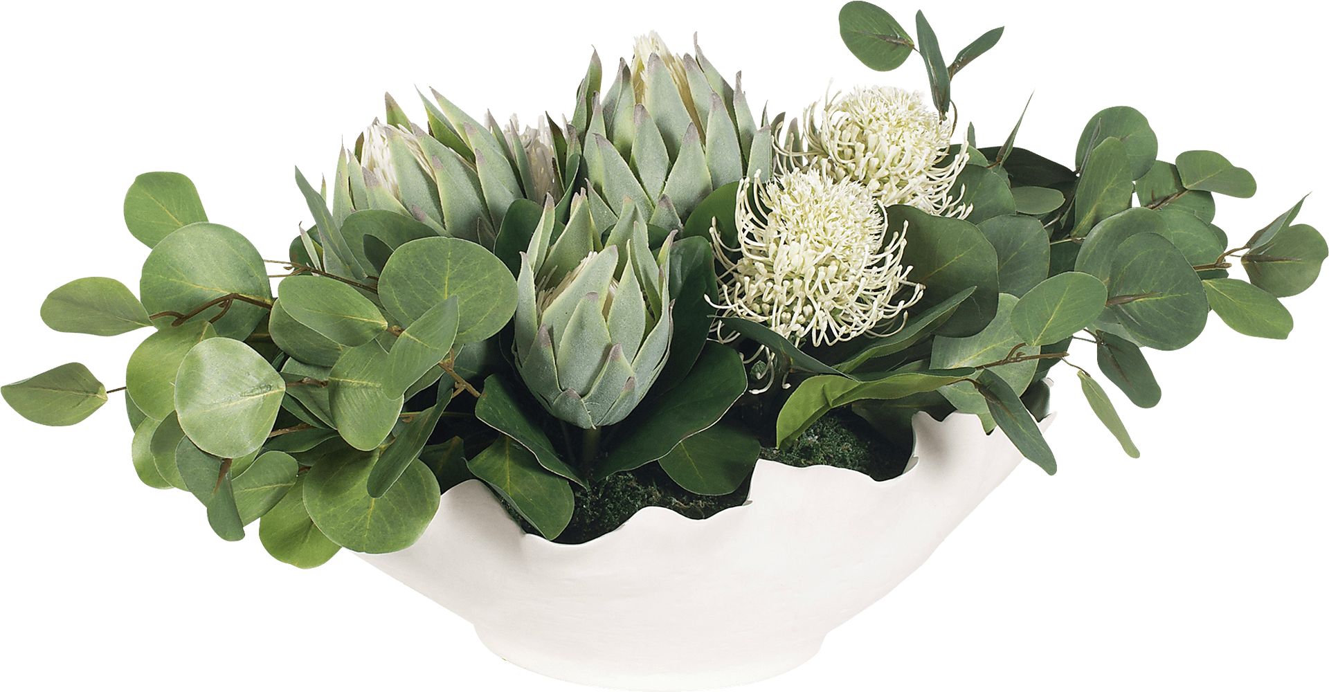 Arima White Silk Plant - Image 9
