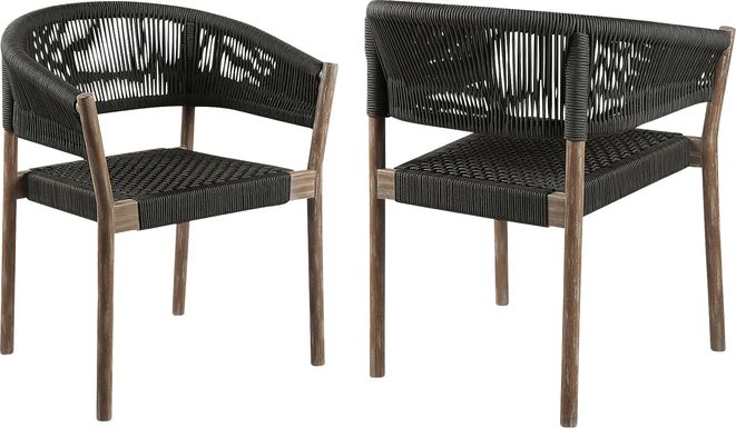 Arlajen Charcoal Outdoor Arm Chair, Set of 2