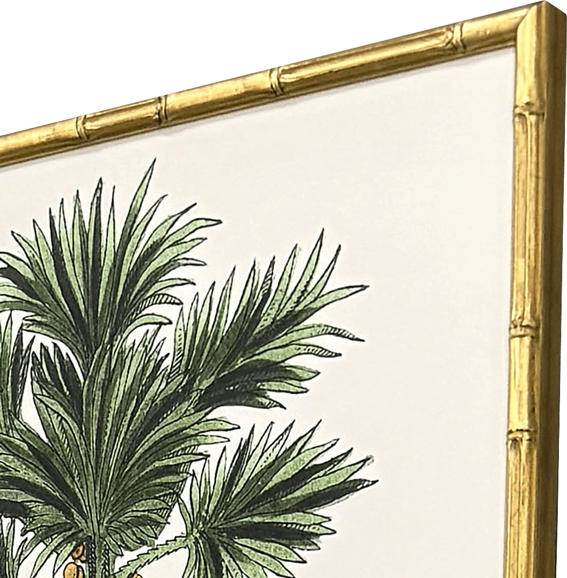 Arlox Green Artwork, Set of 4 - Image 3
