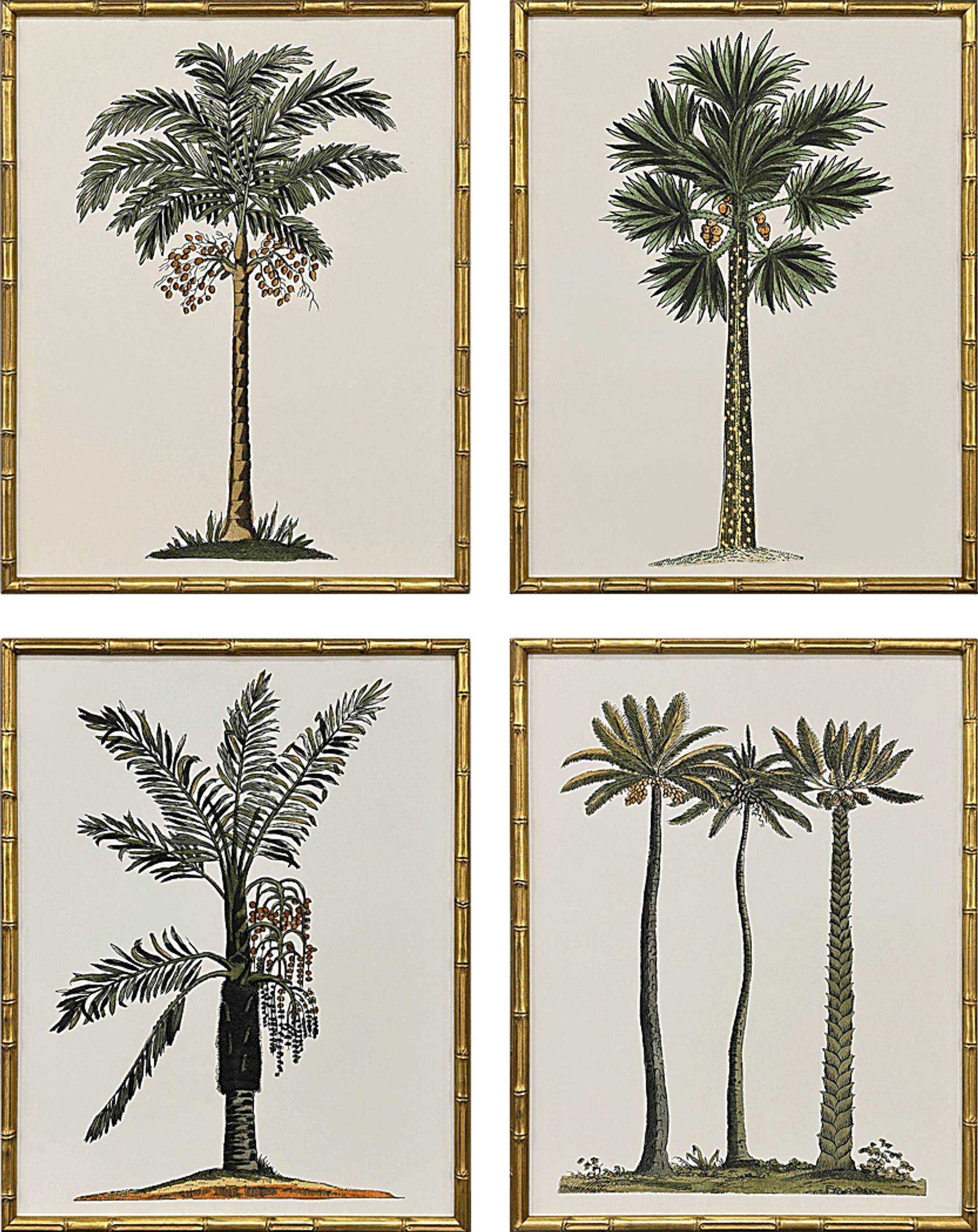Arlox Green Artwork, Set of 4 - Image 1