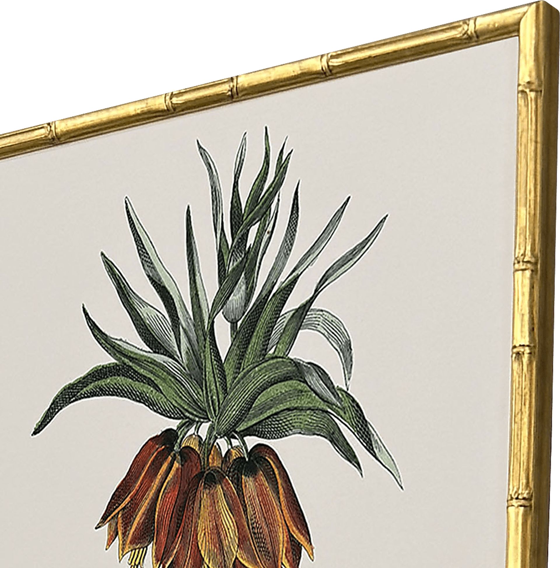 Arlox Green Artwork, Set of 4 - Image 3