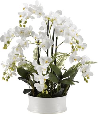 Armelia White Orchid Silk Flower Arrangement