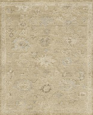 Arnburg Brown 6' x 9' Rug