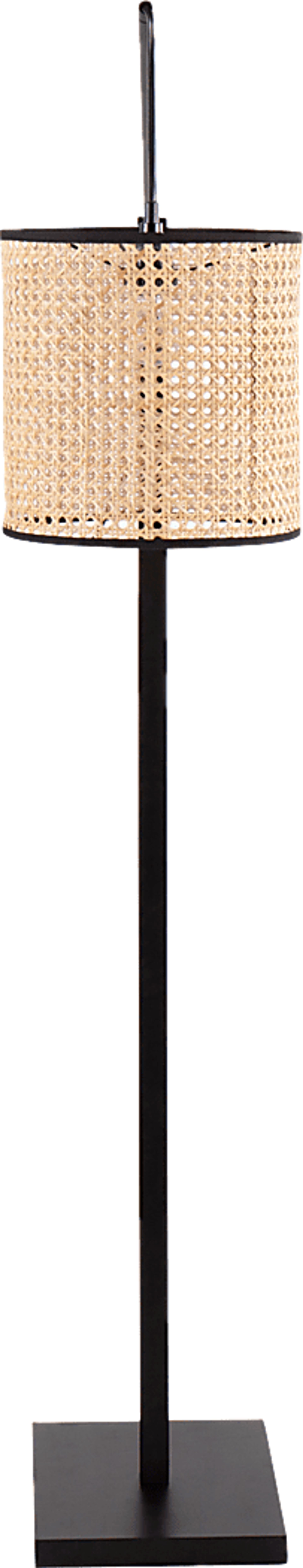 Arthae I Natural Floor Lamp - Image 6