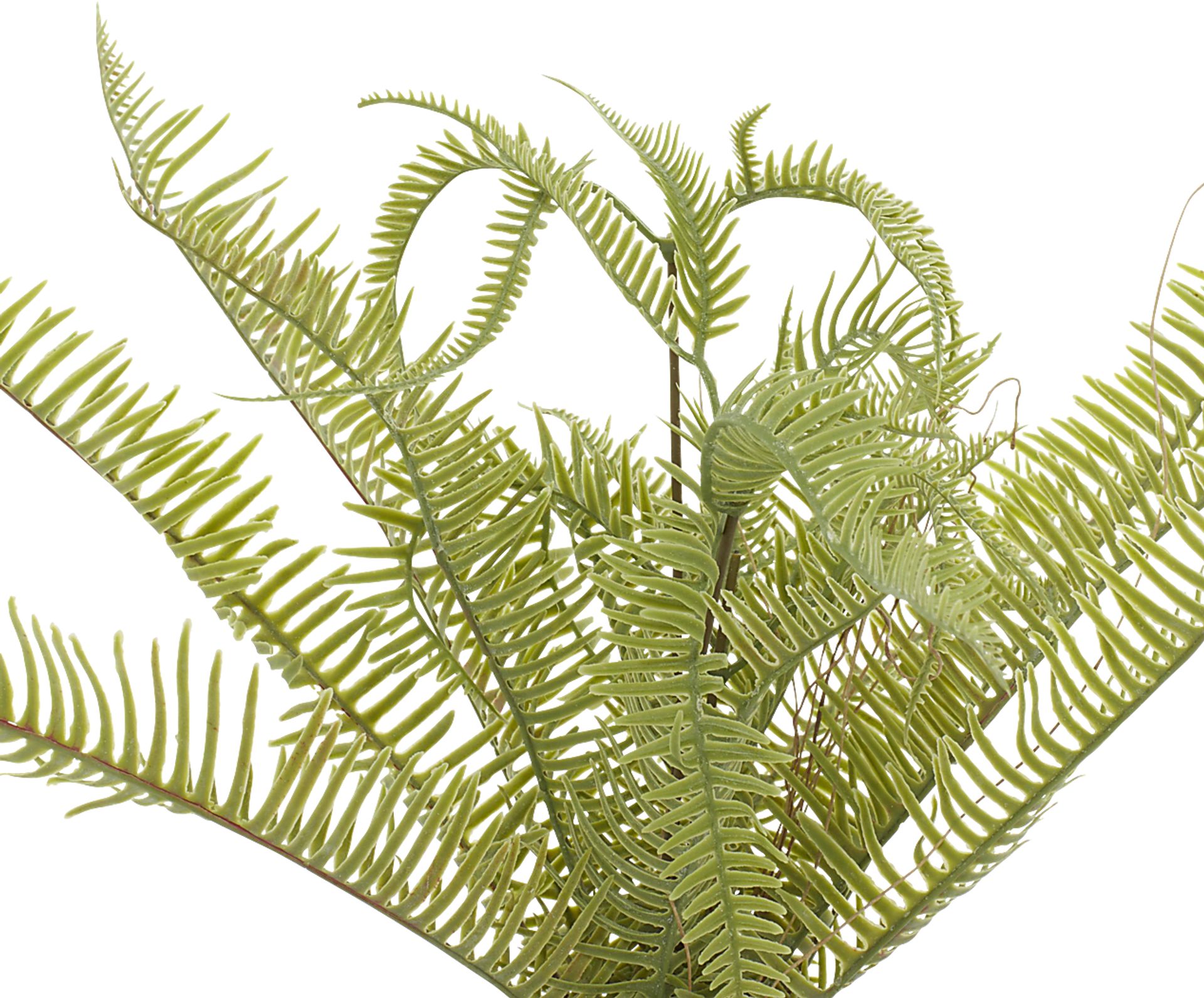 Arthir Green Silk Plant - Image 3