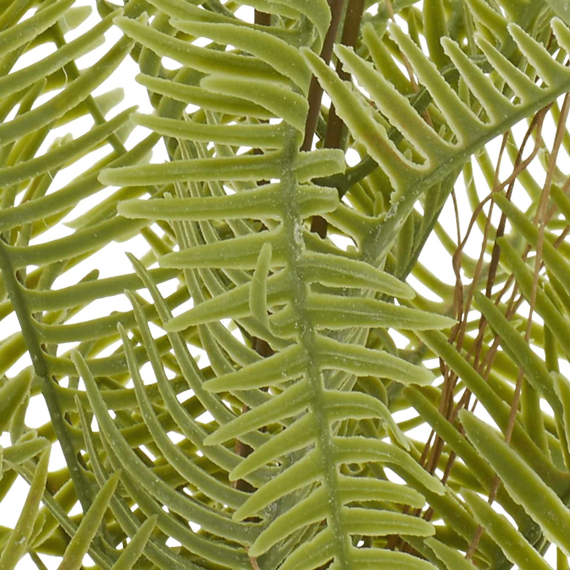 Arthir Green Silk Plant - Image 7