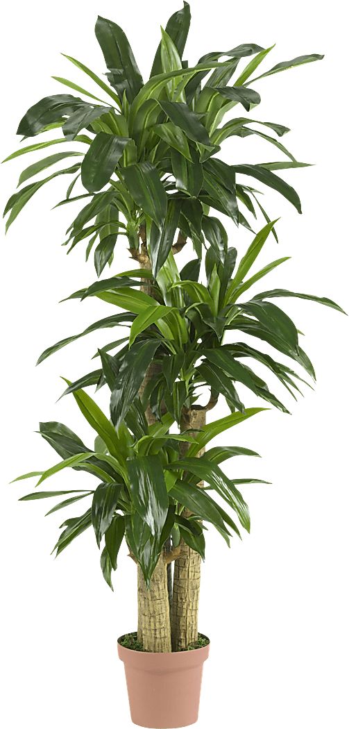 Athaliah Green Dracaena Silk Tree
