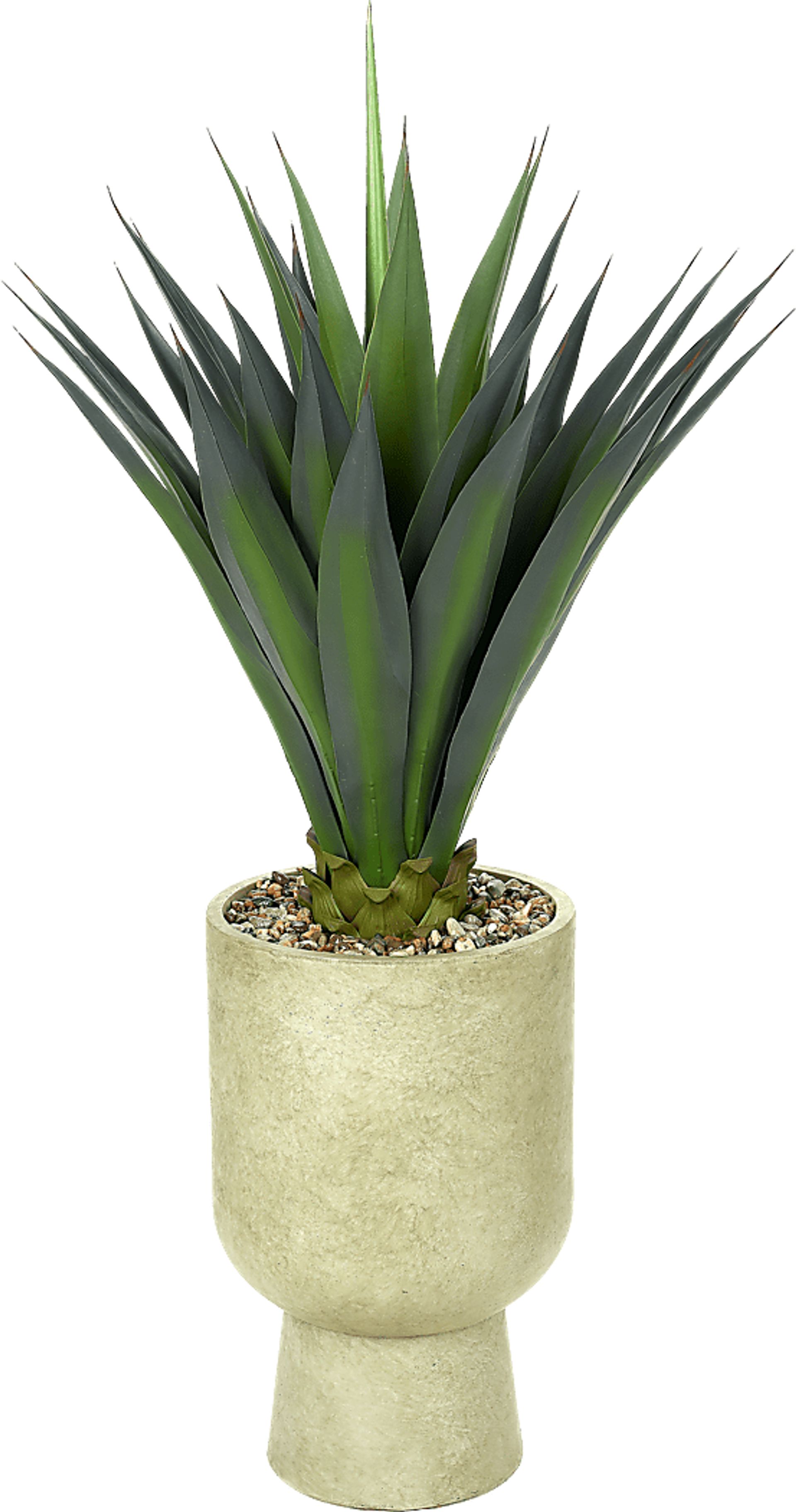 Aurelia I Green 56 in. UV Artificial Agave in Cream Planter - Image 1