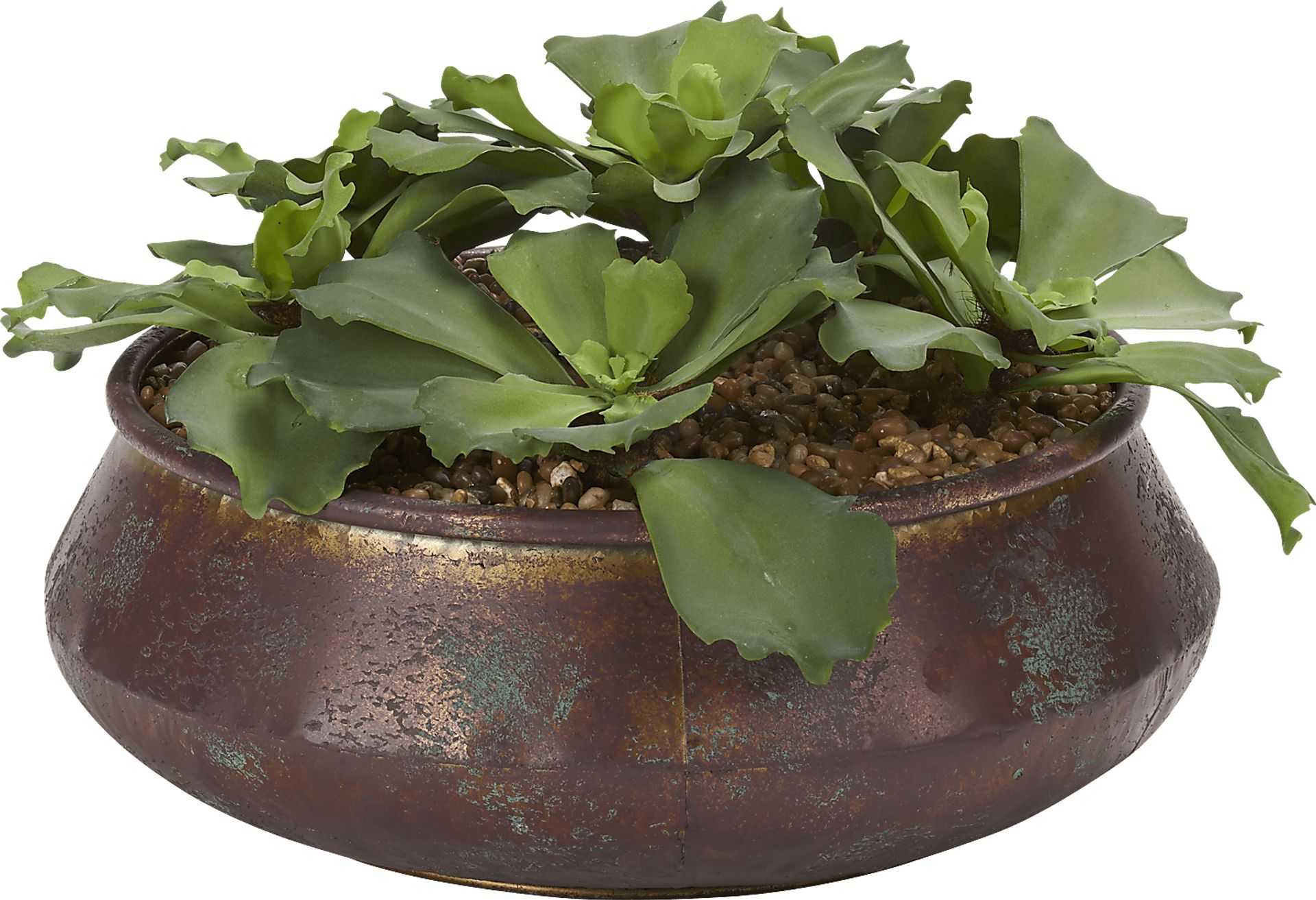Avali Green Echeveria Silk Plant - Image 1