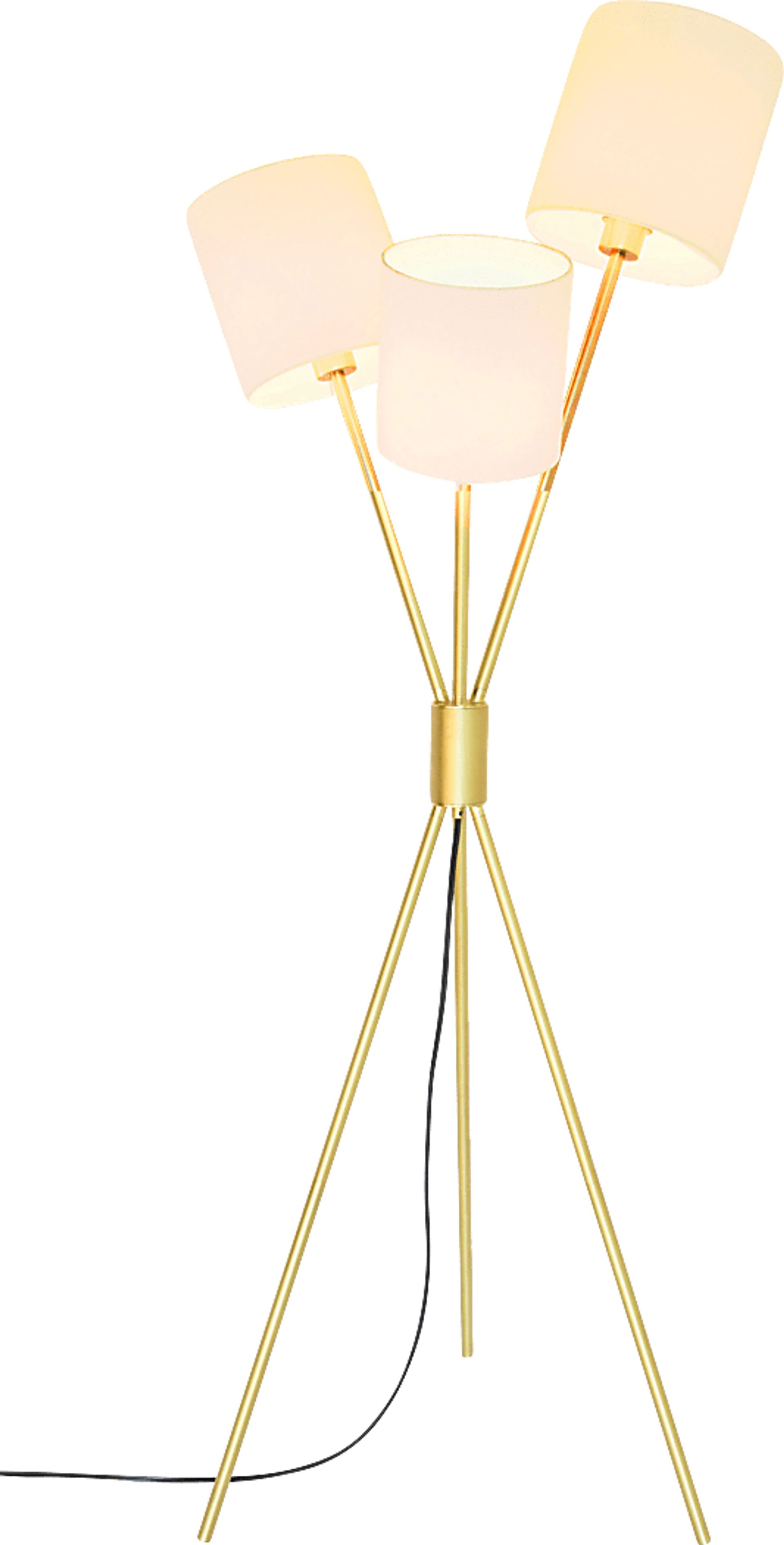 Avalon Lane Champagne Floor Lamp - Image 1