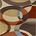 Brown, Multi