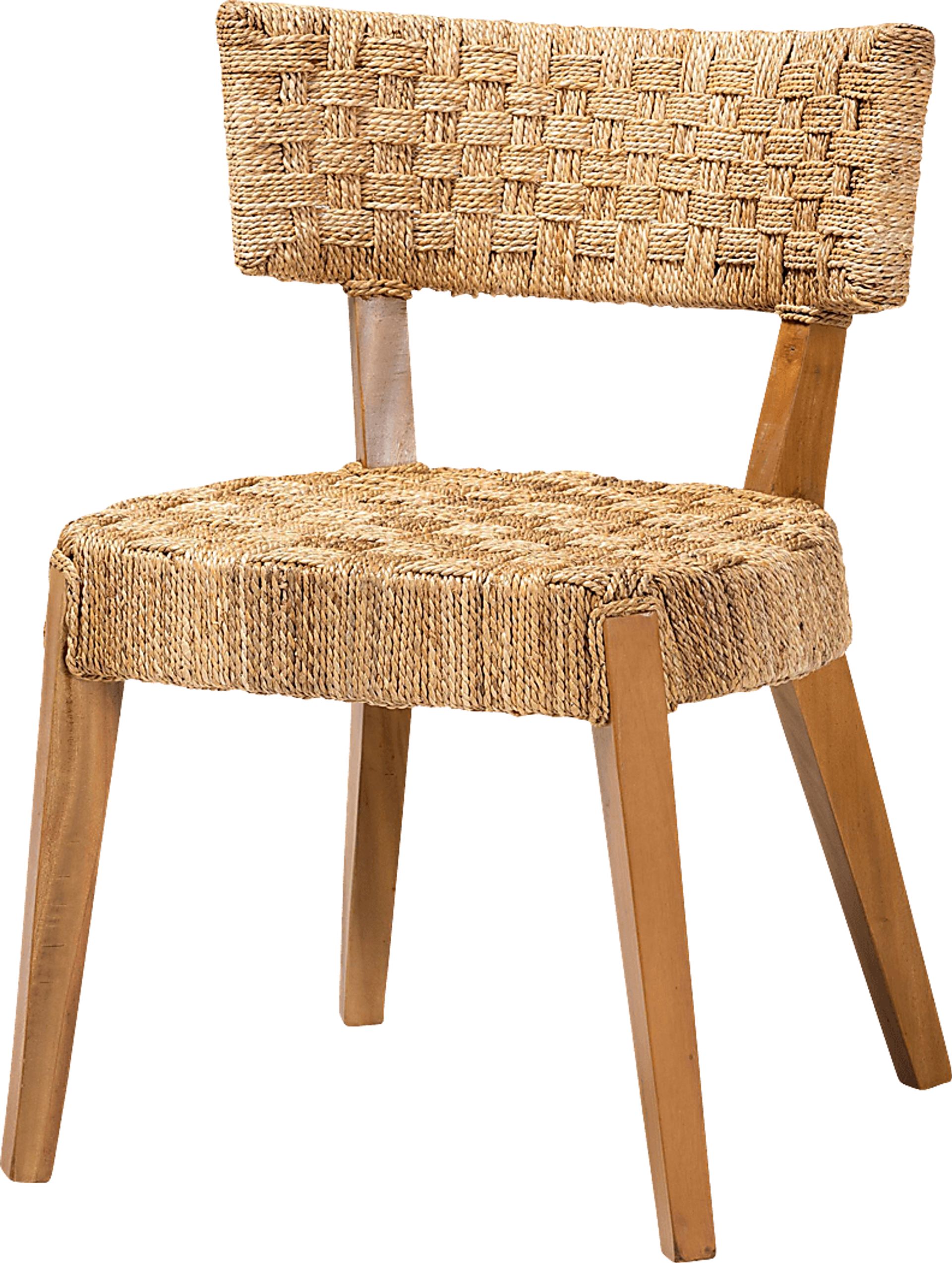 Avestruz Brown Dining Chair - Image 1